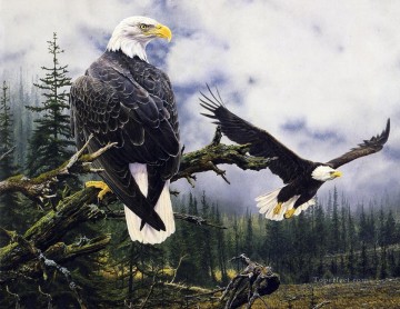 eagle with yellow beak birds Oil Paintings